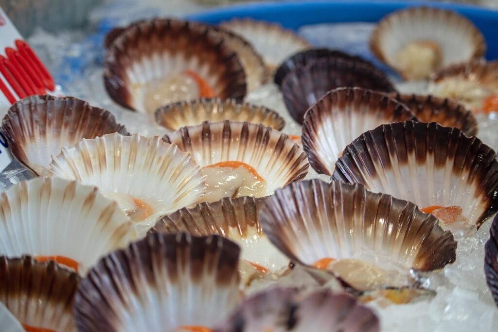 clams, seafood, market-3793441.jpg